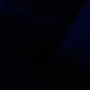 Meet your Posher, Earnestine